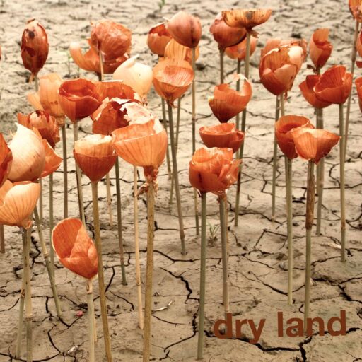 Dry Land